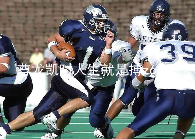 尊龙凯时人生就是搏z6com