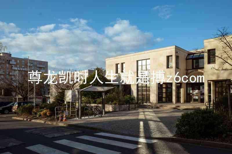 尊龙凯时人生就是搏z6com